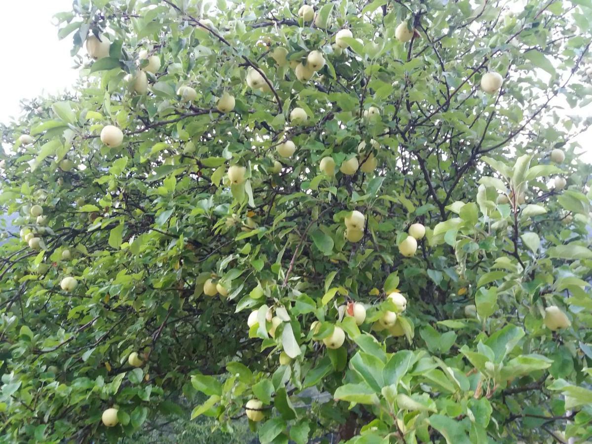 Vila Verusa 外观 照片
