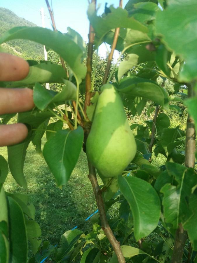 Vila Verusa 外观 照片