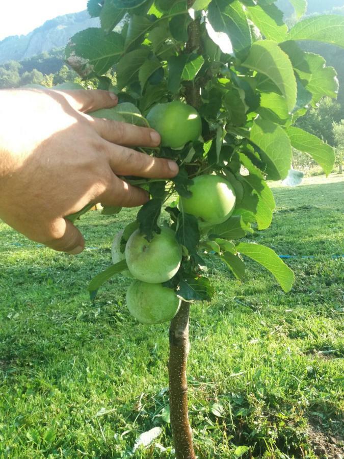 Vila Verusa 外观 照片
